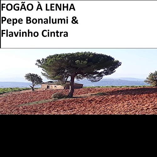  Fogão à Lenha