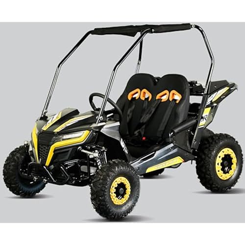 TrailMaster Cheetah 6 Youth Go-Kart - 163cc 5.5HP Engine, 4-Point Safety Belt, Remote Kill, Speed Governor, Suitable for Kids 6-12. (Plus, Yellow)
