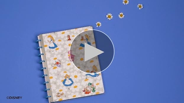 Amazon.com : Happy Planner Disney Disc-Bound 12-Month