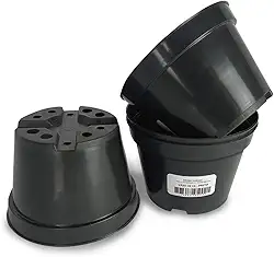 Vaso Pote 11 Rígido Plantar Suculenta Flores Mudas 100 Und