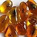 VORCOOL 5pcs Amber Fossil with Insects Samples Stones Crystal Specimens Home Decorations Collection Oval Pendant (Random Pattern)