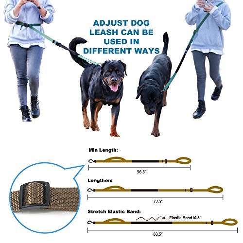 Tspro Hands Free Dog Leash For Walking Running With Safety Car Seat Belt Shock Absorbing Bungee Leash With Padded Handle(Brown) #TOP3
