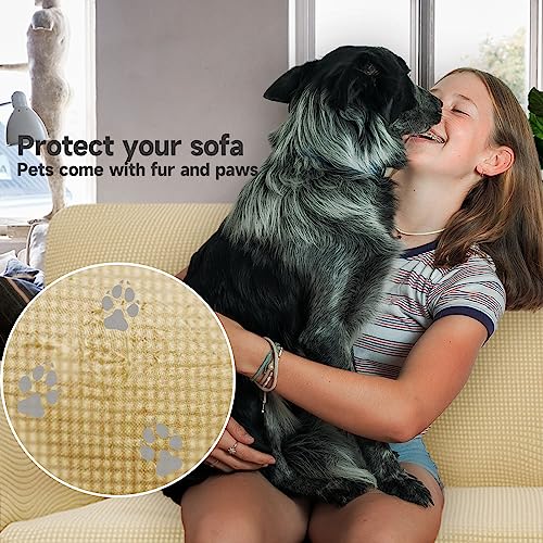 Miniatura 2 de Ystyle Elasticas Funda Sofa 3 Plazas, Fundas De Sofa Ajustables Con Reposabrazos, Gruesa Funda Sofá Anti Gatos Perros Y Mascotas, Moderna Cubre Sofa Antimanchas Lavable, Beige Amarillo