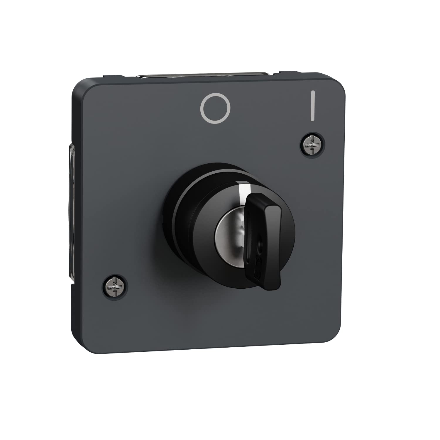 Schneider Electric Interruptor de llave 2 posic. IP55 Gris
