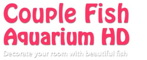 free couple fish aquarium HD - aproveite o romance de peixes em sua TV HDR 4K, TV 8K e dispositivos