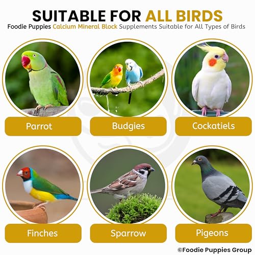 Image of Foodie Puppies Natural Mineral Block for Birds - 5 Pieces (250g) | Beak Care, Digestive Support, Strong Bones & Feather Growth | Ideal for Canary, Finch, Budgie, Lovebird, Cockatiel, Parrot & Parakeet