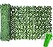 LEIVESTE-Siepe Finta Artificiale per Recinzione da Esterno, Copri Balcone per Ringhiera, Rete Frangivista con Foglie Sintetiche, Ultra Coprente, con 40 Fascetti Verdi Omaggio (Edera, 2x3 Mt) immagine