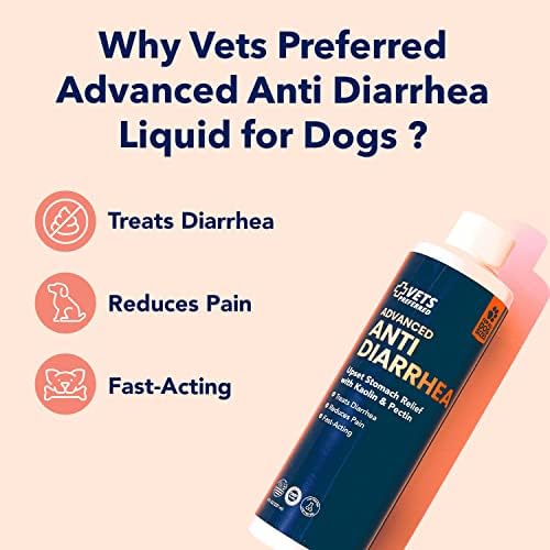 what stops dogs diarrhea