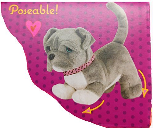 our generation pitbull pup