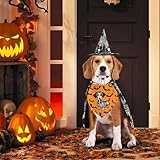 Halloween Dog Bandanas, Double Sided 4 Patterns Reversible Triangle Dog Scarfs with Pumpkin, Bat, Ghost, Fall Dog Cat Bandanas for Boy and Girl 2 Pack Cat Bib Handkerchief Holiday Set Halloween Dog Bandanas, Double Sided 4 Patterns Reversible Triangle Dog Scarfs with Pumpkin, Bat, Ghost, Fall Dog Cat Bandanas for Boy and Girl 2 Pack Cat Bib Handkerchief Holiday Set