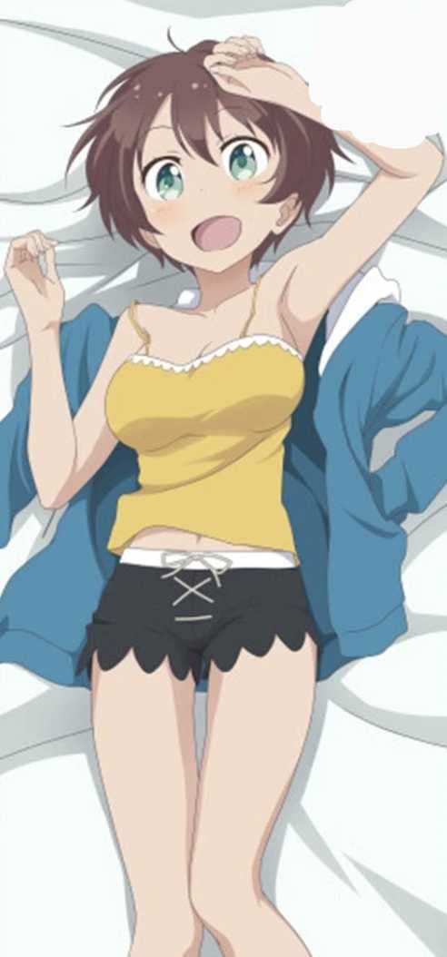 【正規品　未開封】ニューゲーム　new game 抱き枕カバー　篠田はじめ Amazon | NEW GAME! ニューゲーム 篠田はじめ 抱き枕カバー | アイドル