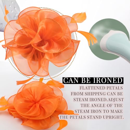 Image of DRESHOW Fascinators Hat Tea Party Headwear Ribbons Feathers on a Headband and a Clip for Women