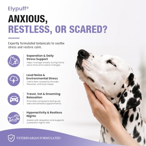 Calming Chews for Dogs - 180ct Dog Calming Chews Anxiety and Stress Relief - Image 3