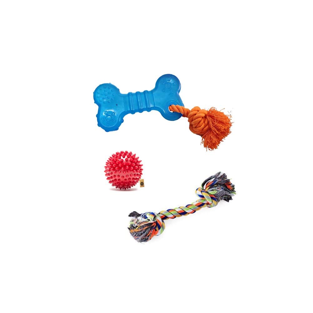 The Pets Company Rubber Dog Chew Toy Combo ( TPR Dog Bone 6" + Cotton Rope Bone 6"+ Dog Spike Ball 3") | Teething Toys for Medium & Small Dogs (B0BMLJ14C8) Amazon Price History, Amazon Price Tracker