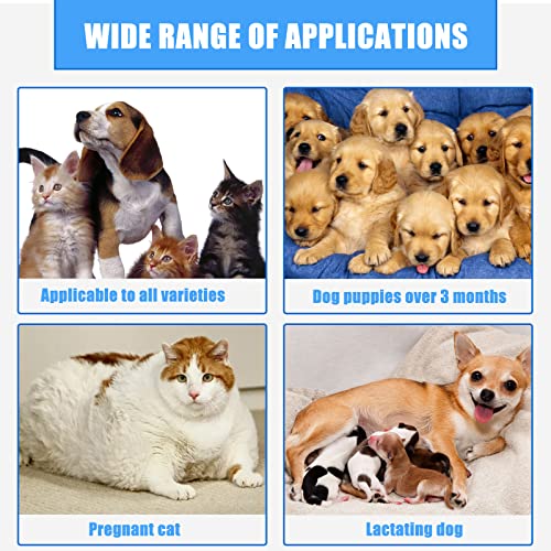 Cutiolly Haustier Wundspray,Wundpflege für Hunde Katzen,Pet Wound Spray,Wundheilungsspray,Katzen-Wundpflege,Haustier Reinigungsspray,für Wunden und Schürfwunden,Juckreiz,Linderung von Hunden,30ml