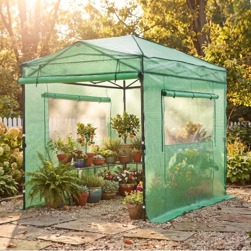 Image of EAGLE PEAK Instant Pop up Greenhouse, Indoor Outdoor Plant Gardening Green House with Interchangeable PE & Mesh Wall Panels, Walk in 8x6 ft, Green /Clear