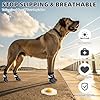 KOOLTAIL Dog Socks Shoes for Hot Pavement, Breathable & Warm Winter Dog Booties to Prevent Licking Paws for Small Medium Large Senior Dogs,Non Slip Grippy Pet Boots & Paw Protectors for Hardwood Floor
