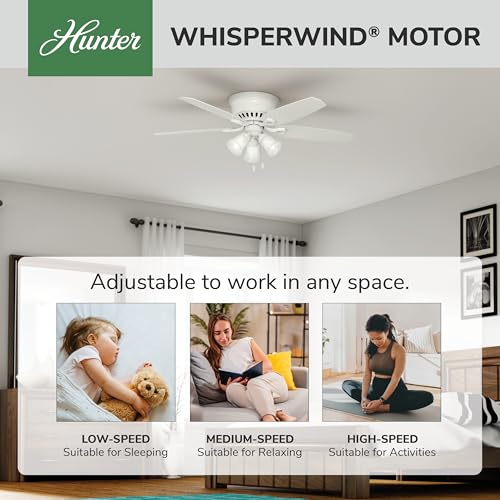 Image of Hunter Builder, Indoor, Ceiling Fan, with LED Lights, 52 inch, Snow White