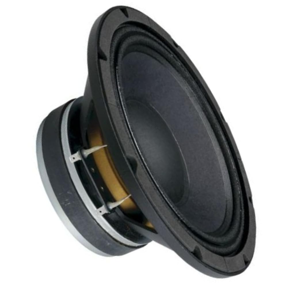 Ciare HS251 subwoofer 250mm | Altoparlanti home e professional - Subwo