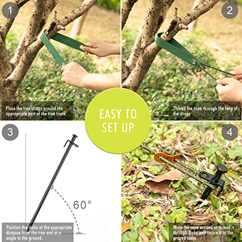 Kit de piquets d'arbre durables en acier avec sangles et cordes premium