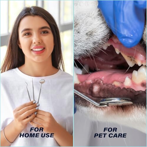 3Pcs Dental Kit Edelstahl Zähne Kit Professionelle Zahnhygiene Tools Mundspiegel, Zahnstein Schaber und Double Pointed Meißel