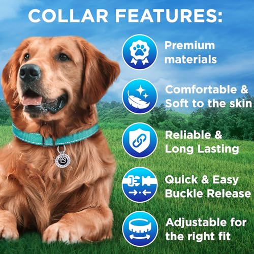 Collar Reflectante para Perro TECEUM, Nylon, Color Teal, Talla L miniatura 3