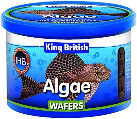King British Algae Wafers 200 g Pet Supplies