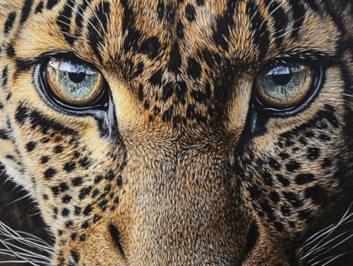 Pintar por Numeros Adultos, leopardo animal-2, DIY Painting by Numbers Kits, Pintar por Numeros, Fácil de Hacer, con 3 Pinceles, Pigmento Acrílico, Regalos Originales para Mujer, Decor 40x50cm J0-696