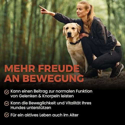 CaniComplete Gelenk Plus - Gelenktabletten für Hunde: Teufelskralle, MSM, Chondroitin, Glucosamin, Kollagen, Vitamin B, UVM.