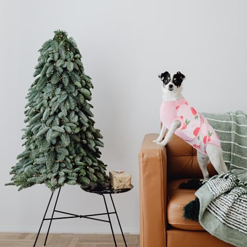 image for Kuoser Recovery Suit for Dogs Cats After Surgery, Professional Pet Rec