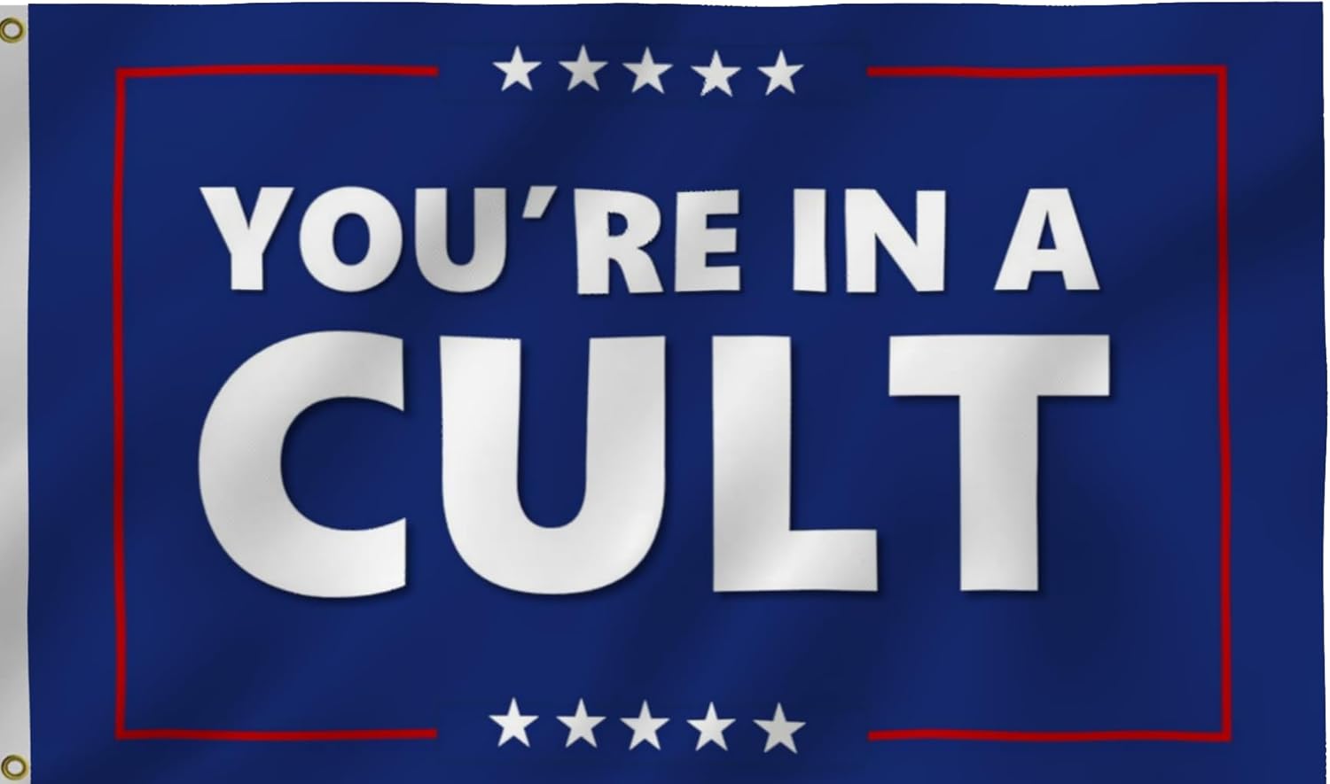 You Are In A Cult Flag 3X5Ft,Double Sided 3Ply Flags, Funny Meme Banner, Men Women Banner,Vibrant Colors, Double Stitched with 2 Brass Grommets, Bar Garden Street Decoration, GYM, Office Decor,Indoor Outdoor Use,Gifts. (3ply, 3x5ft)