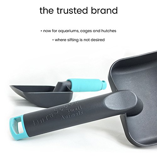 https://m.media-amazon.com/images/I/51t5GaMAdVL._SL500_.jpg