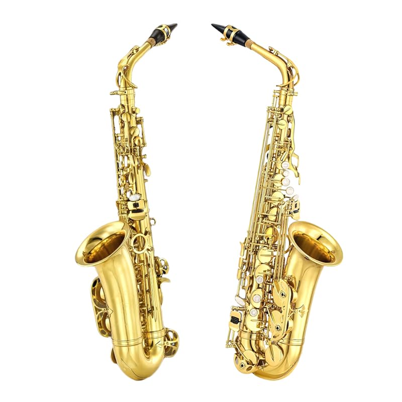 Image of Alto Saxophone E Flat for Adults Students Saxophone Beginner Kit with Mouthpiece Carrying Case Straps 10Reeds