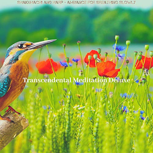 Écouter Shakuhachi and Harp Ambiance for Breathing Slowly de