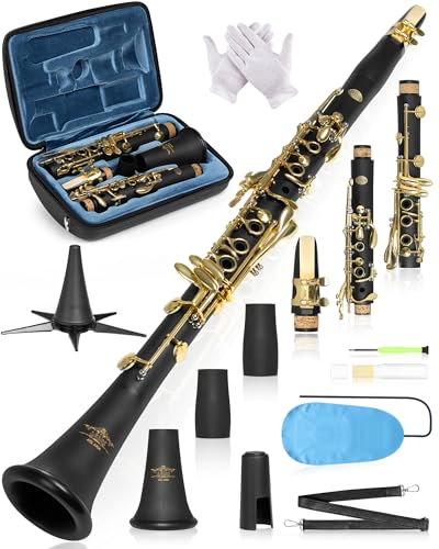 AKLOT B Flat Concert Clarinet: Precision Tone Hole Design for Stable Intonation
