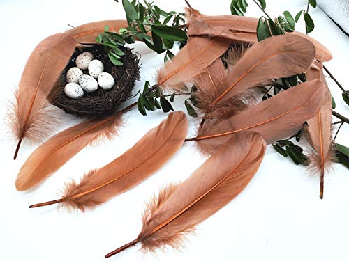 100Pcs Brown Goose Feathers 6-8 Inch For Crafts Wedding Party Decorations Clothing Hats Accessories Dream Catchers Making #TOP3