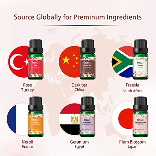 Floral Essential Oils, Esslux Pure Aromatherapy Diffuser Oils Set, Rose, Neroli, Geranium, Freesia, Plum Blossom, Dark Tea Essential Oils, Ideal for Diffuser, Massage, Home Fragrance