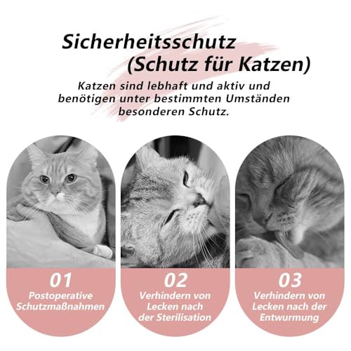 Funalix Katzen Erholungsanzug,Katzen Sterilisation nach der Operation Anti-Lick-Anzug Haustier,Süße Alpaka Muster Design Katze Chirurgie Wiederherstellung Anzug (Pink/M)