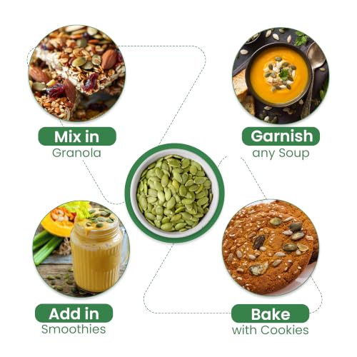 Image of Nutraj Classic Pumpkin Seeds 500 g Jar