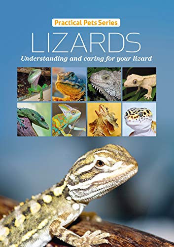 Lizards: Understanding and caring for your lizard (Practical Pets ...