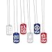 Fun Express Patriotic Cut-out Dog Tag Necklaces (24 Pack)