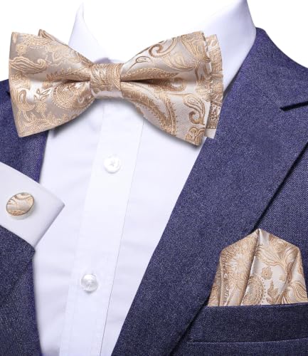 Image of Dubulle Mens Paisley Striped Bowtie Set Pre-tied Bowtie for Men and Pocket Square Set Wedding Business