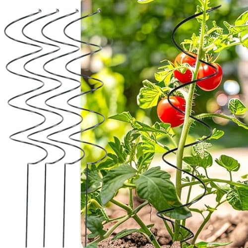 Lot de 10 piquets en spirale pour plantes grimpantes et plantes grimpantes - Idéal pour les tomates et les plantes grimpantes