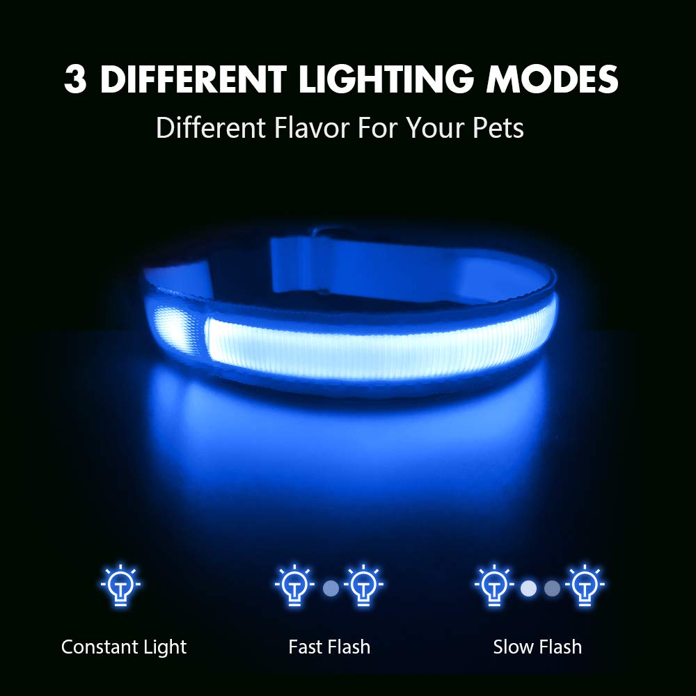 MASBRILL Collare Luminoso per Cani, Collare Cane LED Ricaricabile e Impermeabile, 3 Modalità d'ardore e Misura Regolabile Adatto per Cani di Taglia Piccola Media Grande, Blu L