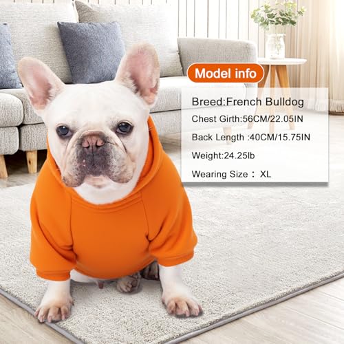 Image of 1 Pack Dog Hoodie Warm Hood Dog Sweater Cold Weather Small Dogs Sweatshirt Comfort Pet Clothes for Small Medium Dogs with Pockets Cats Chihuahua Clothes for Male Female Girl Boy Sporty Daily Wear