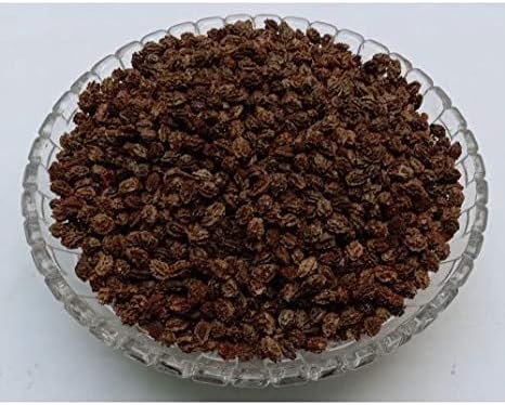 SADHGURU PAPITA BEEJ, PAPITA BEEJ - PAPEETA SEEDS - PAPAYA SEEDS