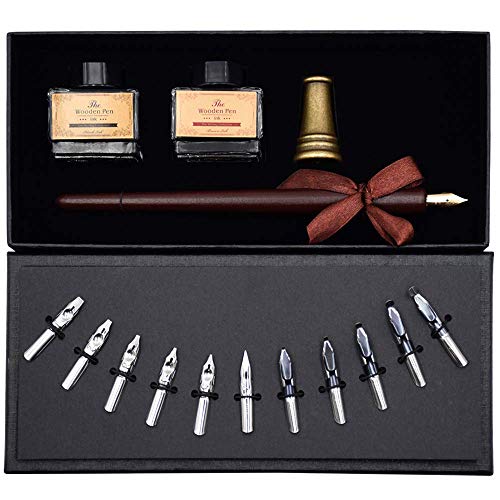 AIVN Calligraphy Set - 17 Pieces. Includes Calligraphy Pens, 2 Bottle Inks, 12 Nibs, Pen Holder and Introduction Booklet for Beginners