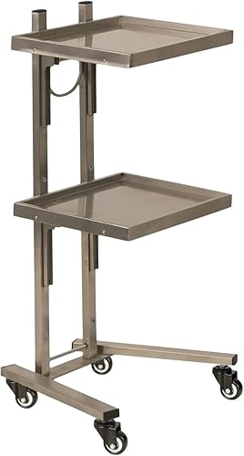 Buy-Rite Helix - Bandeja de acero inoxidable y carrito móvil para salones, spas y barberías con dos bandejas de metal plegables completas y ruedas