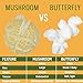 Princeton Popcorn Mushroom Popcorn Kernels - Farmer Direct, Gluten Free, Non GMO - Perfect for Stove Top Popcorn Maker & Air Popper Popcorn Maker - 2lb Bag of Premium Popping Corn 33oz