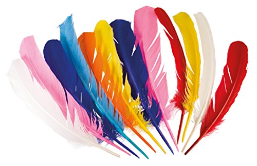 Preisvergleich Produktbild Boland 60710 - Indianerfedern, Circa 30 cm